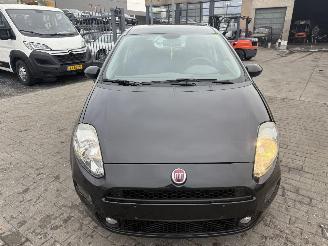 Fiat Punto EVO picture 2