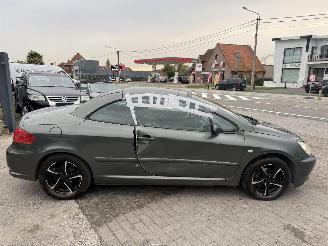 Peugeot 307  picture 4