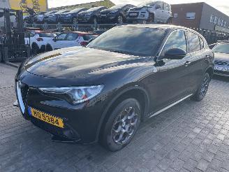 Alfa Romeo Stelvio Q4 ENGINE OUT picture 5