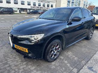Alfa Romeo Stelvio Q4 ENGINE OUT picture 17