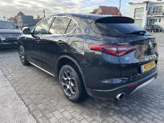 Alfa Romeo Stelvio Q4 ENGINE OUT picture 10