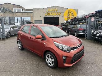 Schadeauto Kia Picanto 1.0I 2019/5