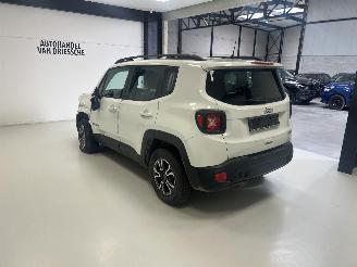 Jeep Renegade  picture 5