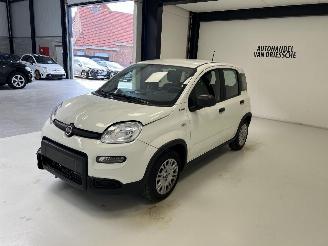 Fiat Panda LIMITED picture 6