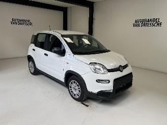 Avarii autoturisme Fiat Panda LIMITED 2024/6