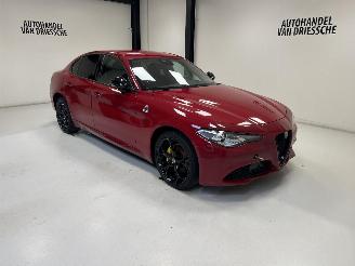 Unfallwagen Alfa Romeo Giulia MOTORSCHADE 2019/5