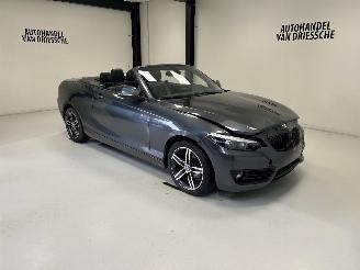Voiture accidenté BMW 2-serie SPORTLINE AUTOMAAT 2019/3