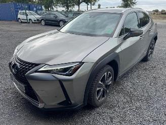 Unfallwagen Lexus UX  2022/9