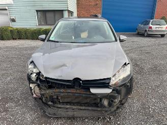 Volkswagen Golf  picture 2