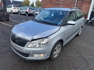  Skoda Fabia  2011/1