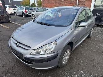  Peugeot 307  2004/9