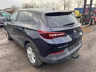 Opel Grandland X picture 7