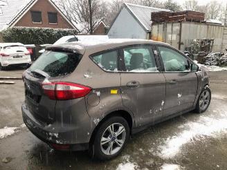 Ford C-Max C-Max (DXA), MPV, 2010 / 2019 1.6 SCTi 16V picture 6