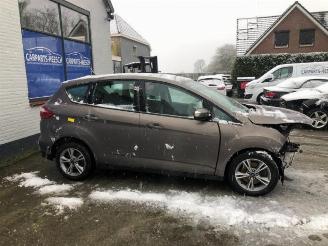Ford C-Max C-Max (DXA), MPV, 2010 / 2019 1.6 SCTi 16V picture 5