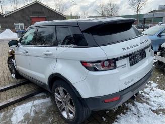 Land Rover Range Rover Evoque  picture 3