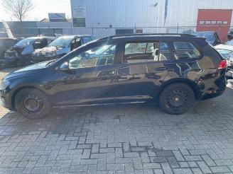 Volkswagen Golf Golf VII Variant (AUVV), Combi, 2013 / 2021 1.6 TDI 16V picture 2