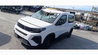 Uttjänta bilar auto Peugeot Rifter Rifter (ER/EC/EZ), MPV, 2018 e-Rifter 2025/9