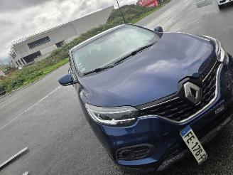 Schadeauto Renault Kadjar  2019/1