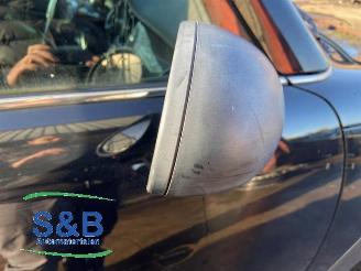 Mini Mini  picture 18