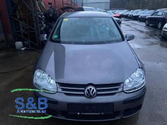 Sloopauto Volkswagen Golf Golf V (1K1), Hatchback, 2003 / 2010 1.4 16V 2005/12