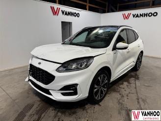 Auto incidentate Ford Kuga  2023/7