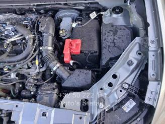 Dacia Duster JOURNEY picture 18