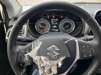 Suzuki SX4 S-CROSS picture 17