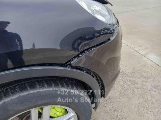 Porsche Cayenne S E-HYBRID picture 31