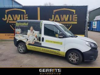 Fiat Doblo Doblo Cargo (263), Van, 2010 / 2022 1.3 D Multijet picture 2