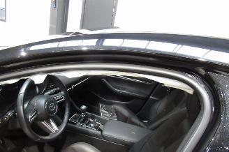 Mazda 3 SKYACTIVE picture 11