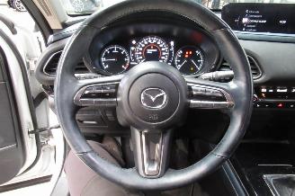 Mazda CX-30 SUV picture 25