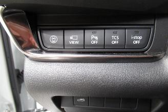 Mazda CX-30 SUV picture 28