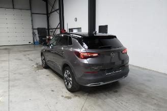 Opel Grandland SUV picture 3