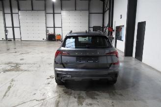 Skoda Kamiq SELECTION picture 4