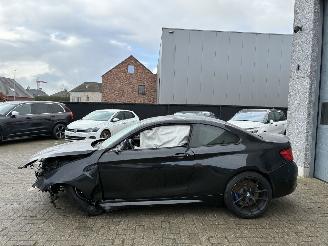 BMW M2 BMW M2 2019 picture 2