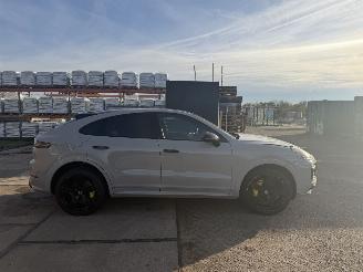 Porsche Cayenne E-HYBRID SPORT picture 48