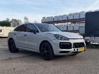 Porsche Cayenne E-HYBRID SPORT picture 10