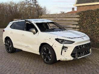 Vaurioauto  passenger cars Cupra Terramar VZ 1.5 eTSI 110kw 2025/1