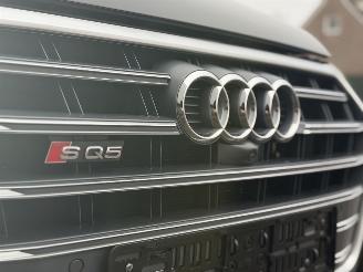Audi SQ5 3.0 TFSI S LINE PANO picture 28