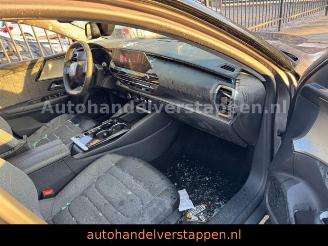 Citroën C5 X C5X Feel Pack Hybrid 132 kW picture 23