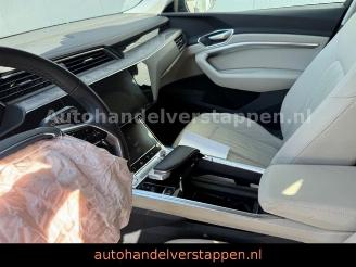 Audi E-tron 55 Quattro Advanced 95KWH B&O MATRIX picture 12