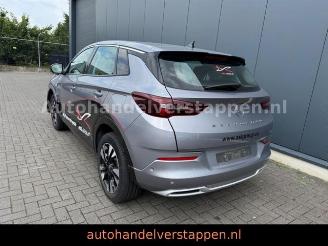 Opel Grandland X PHEV 165KW Hybrit picture 1