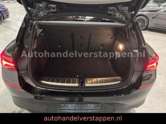 BMW X2 xDrive 25e Advantage Navi+ Leder LED picture 21
