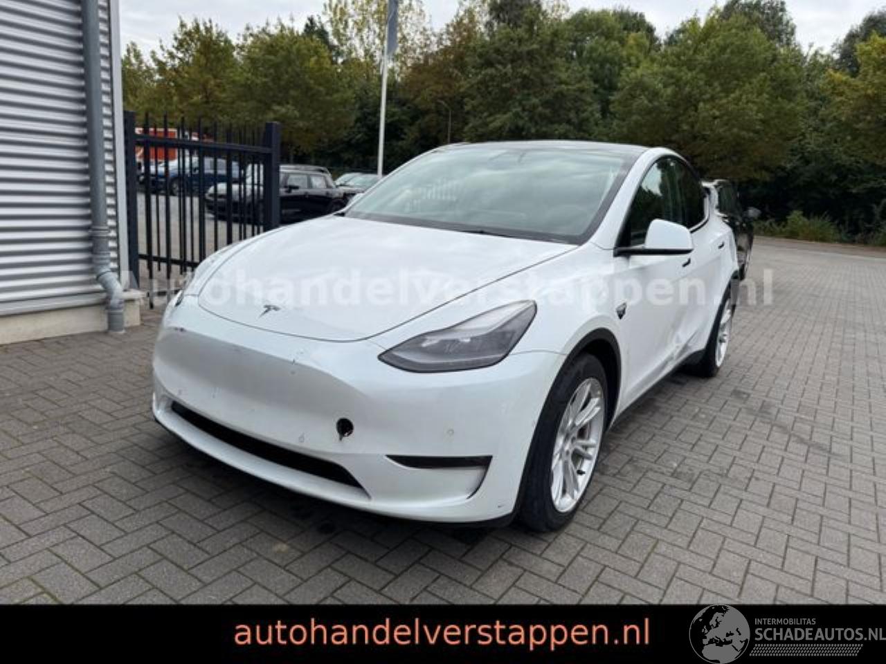 Tesla Model Y Long Range Dual AWD Pano Leder