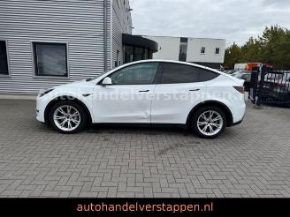 Tesla Model Y Long Range Dual AWD Pano Leder picture 10