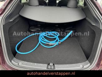 Tesla Model Y Long Range Dual AWD Panorama picture 12