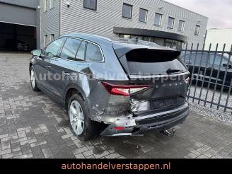 Skoda Enyaq 80 DAB+ Suite Convenience-Paket picture 6