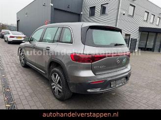 Mercedes EQB 250+ 140KW Business Solution picture 1