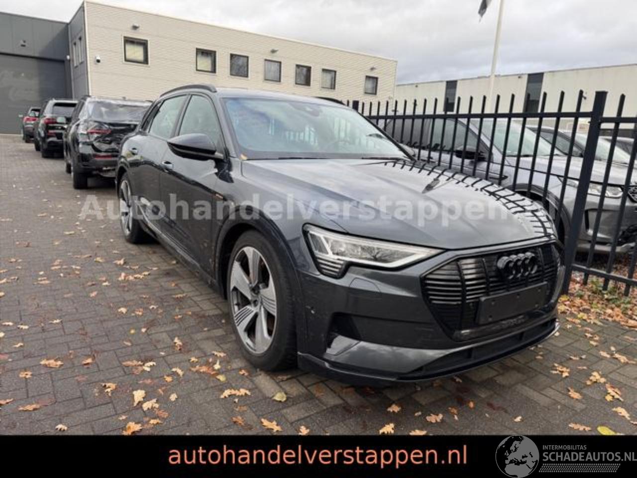 Audi E-tron 55 Quattro Advanced 95KWH