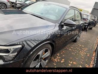 Audi E-tron 55 Quattro Advanced 95KWH picture 7